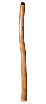 Brad Hagelstein Didgeridoo (BH048)